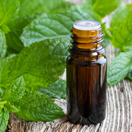 Peppermint Oil-Cosmo Wholesale